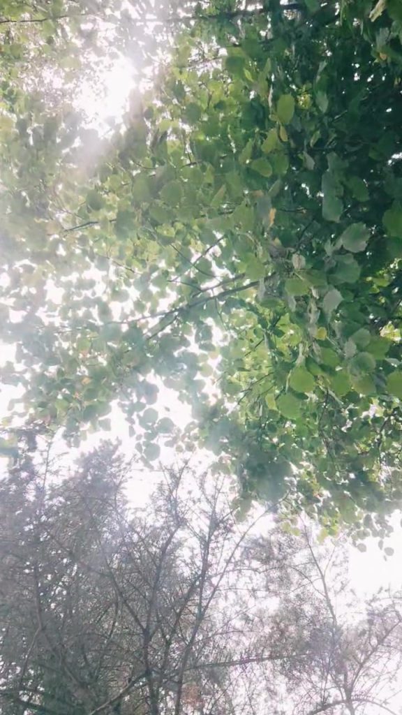 Cykle natury w astrologii, ścieżka zgodna z naturą. Odpoczynek pod gwiazdami